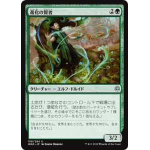 画像: 【日本語版】進化の賢者/Evolution Sage