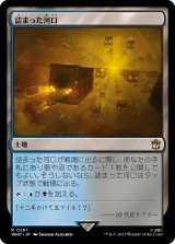 画像: 【Foil】【日本語版】詰まった河口/Choked Estuary