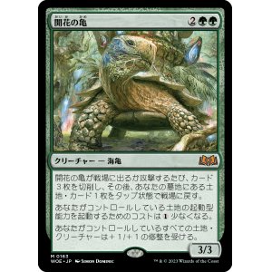 画像: 【Foil】【日本語版】開花の亀/Blossoming Tortoise