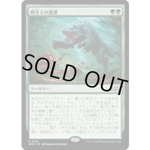 画像: 【Foil】【日本語版】野生との遭遇/Feral Encounter