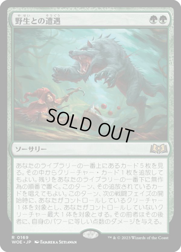 画像1: 【Foil】【日本語版】野生との遭遇/Feral Encounter (1)