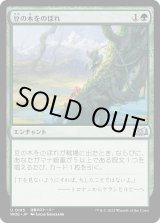 画像: 【Foil】【日本語版】豆の木をのぼれ/Up the Beanstalk