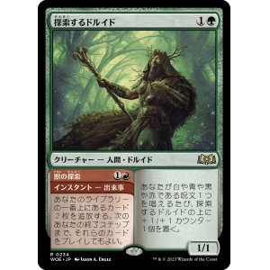 画像: 【日本語版】探索するドルイド/Questing Druid