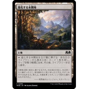 画像: 【日本語版】進化する未開地/Evolving Wilds