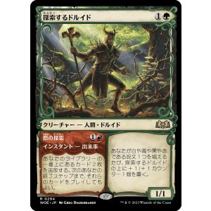 画像: 【ショーケース】【日本語版】探索するドルイド/Questing Druid