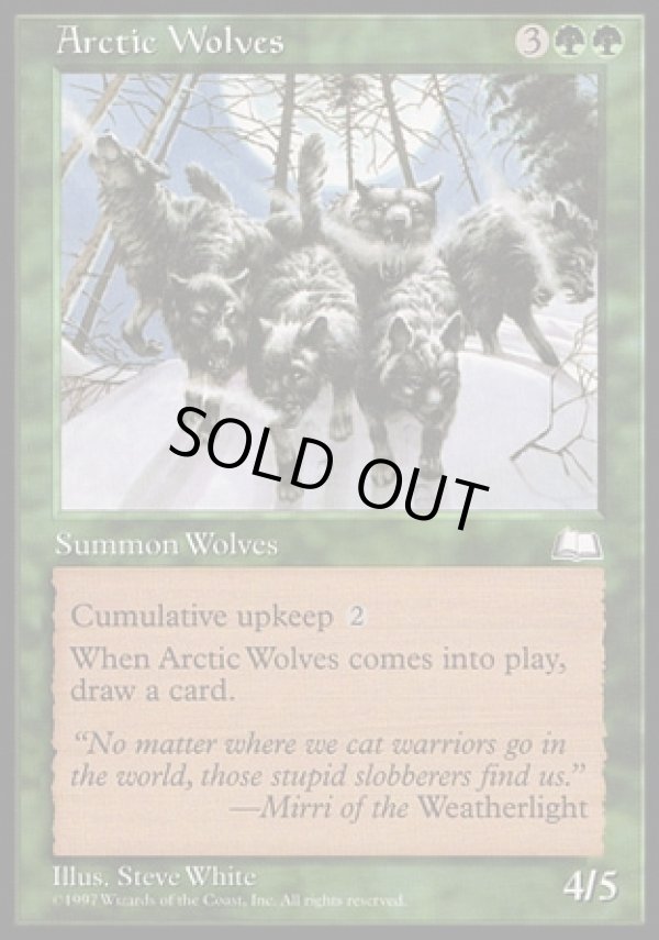 画像1: 【日本語版】北極狼/Arctic Wolves (1)