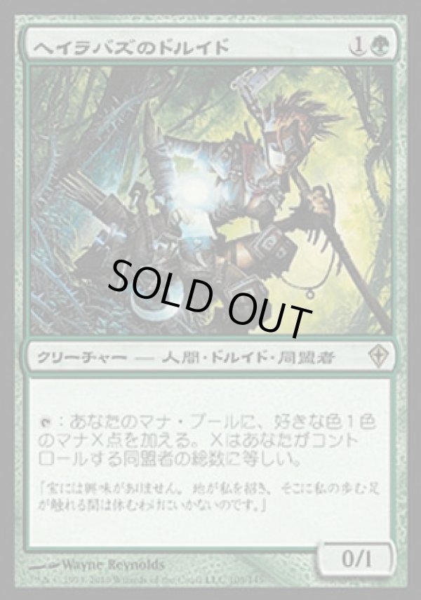 画像1: 【日本語版】ヘイラバズのドルイド/Harabaz Druid (1)