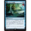 画像1: 【日本語版】アズカンタの探索/Search for Azcanta/水没遺跡、アズカンタ/Azcanta, the Sunken Ruin (1)
