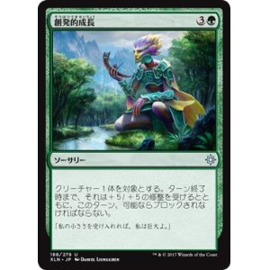 画像: 【日本語版】創発的成長/Emergent Growth
