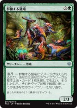 画像: 【日本語版】群棲する猛竜/Ranging Raptors