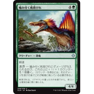 画像: 【日本語版】噛み付く帆背びれ/Snapping Sailback