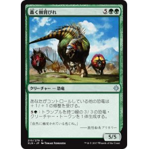 画像: 【日本語版】轟く棘背びれ/Thundering Spineback