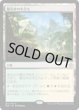 画像: 【日本語版】陽花弁の木立ち/Sunpetal Grove