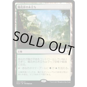 画像: 【日本語版】陽花弁の木立ち/Sunpetal Grove