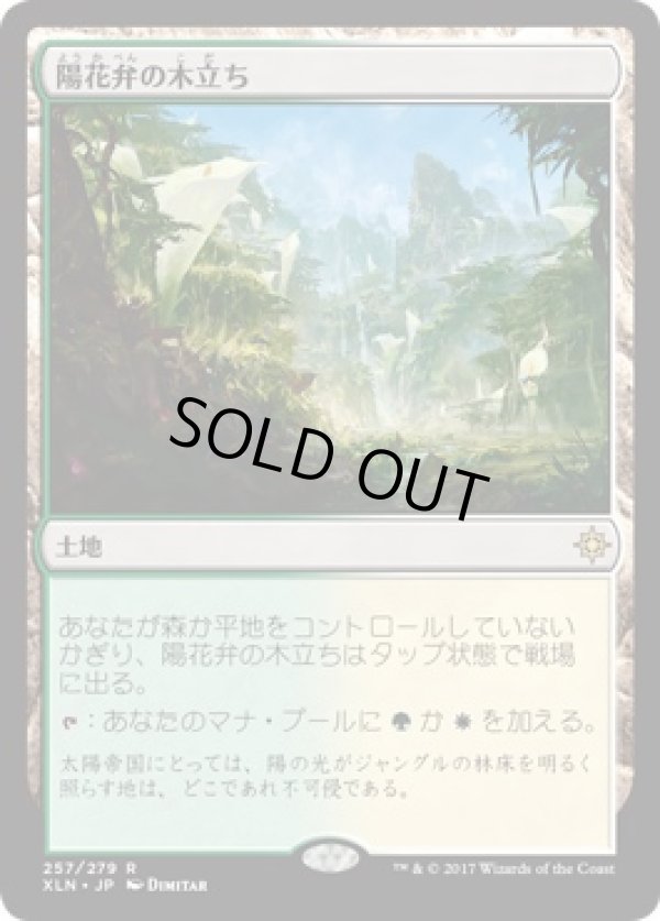 画像1: 【日本語版】陽花弁の木立ち/Sunpetal Grove (1)