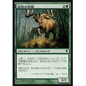 画像: 【日本語版】放牧の林鹿/Grazing Gladehart