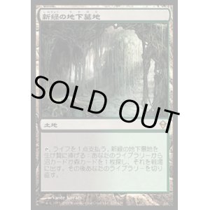 画像: 【日本語版】新緑の地下墓地/Verdant Catacombs