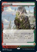 画像: 【Expeditions】【日本語版】樹木茂る山麓/Wooded Foothills