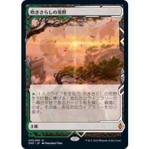 画像: 【Expeditions】【日本語版】吹きさらしの荒野/Windswept Heath