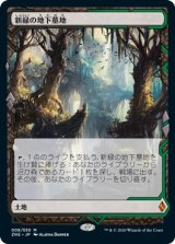 画像: 【Expeditions】【日本語版】新緑の地下墓地/Verdant Catacombs