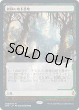 画像: 【Expeditions】【日本語版】新緑の地下墓地/Verdant Catacombs