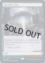 画像: 『Expeditions』『英語版』変遷の泉/Morphic Pool