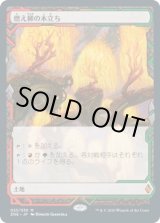 画像: 【Expeditions】【日本語版】燃え柳の木立ち/Grove of the Burnwillows