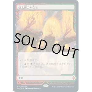 画像: 【Expeditions】【日本語版】燃え柳の木立ち/Grove of the Burnwillows