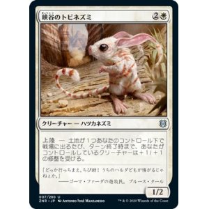 画像: 【日本語版】峡谷のトビネズミ/Canyon Jerboa