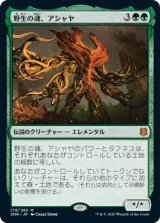 画像: 【日本語版】野生の魂、アシャヤ/Ashaya, Soul of the Wild