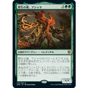 画像: 【日本語版】野生の魂、アシャヤ/Ashaya, Soul of the Wild