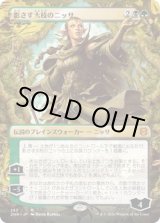 画像: 【ボーダーレス】【日本語版】影さす太枝のニッサ/Nissa of Shadowed Boughs