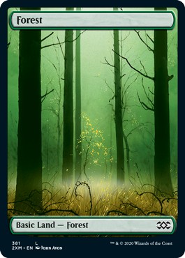 画像1: 『英語版』森/Forest (1)