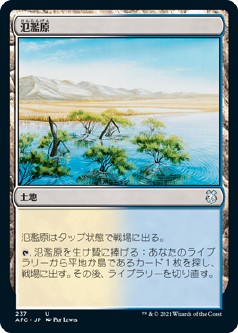 画像1: 【日本語版】氾濫原/Flood Plain (1)