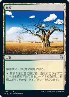画像1: 【日本語版】草原/Grasslands (1)
