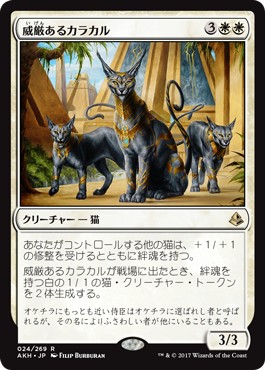 画像1: 【日本語版】威厳あるカラカル/Regal Caracal (1)