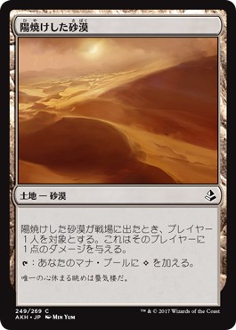 画像1: 【日本語版】陽焼けした砂漠/Sunscorched Desert (1)