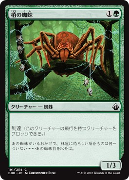 画像1: 【日本語版】梢の蜘蛛/Canopy Spider (1)