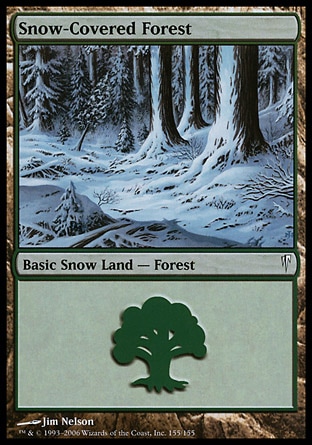 画像1: 【日本語版】冠雪の森/Snow-Covered Forest (1)