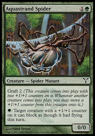 画像1: 『英語版』水辺の蜘蛛/Aquastrand Spider (1)