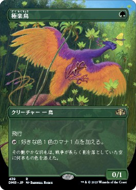 画像1: 【ボーダーレス】【日本語版】極楽鳥/Birds of Paradise (1)