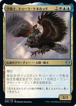 画像1: 【日本語版】空騎士、トゥーラ・ケネルッド/Tura Kennerud, Skyknight (1)