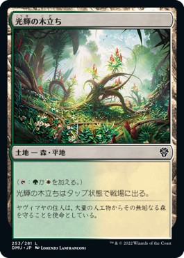 画像1: 【日本語版】光輝の木立ち/Radiant Grove (1)