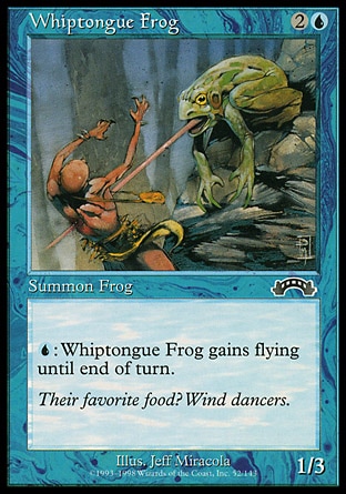 画像1: 『英語版』舌長カエル/Whiptongue Frog (1)