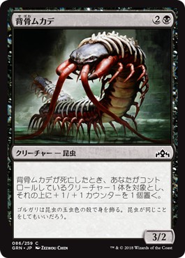 画像1: 【日本語版】背骨ムカデ/Spinal Centipede (1)