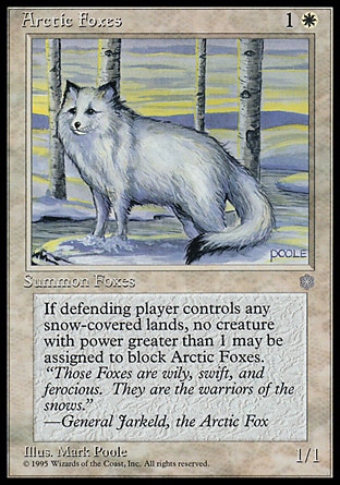 画像1: 『英語版』Arctic Foxes (1)