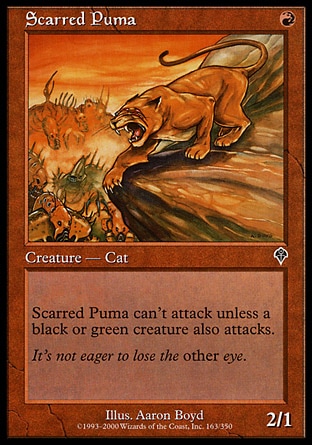 画像1: 【日本語版】傷痕のピューマ/Scarred Puma (1)