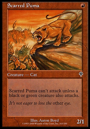 画像1: 【日本語版】傷痕のピューマ/Scarred Puma (1)