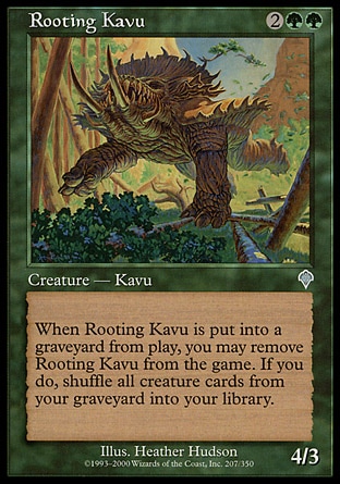 画像1: 【日本語版】根こそぎカヴー/Rooting Kavu (1)
