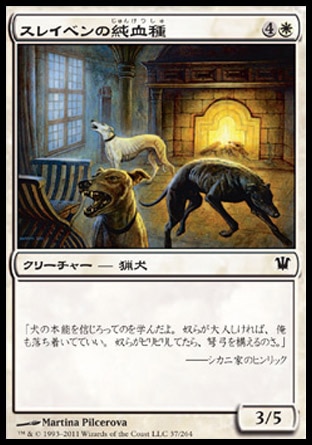 画像1: 【日本語版】スレイベンの純血種/Thraben Purebloods (1)